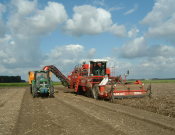 slideshow-image 4