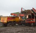 imagebox-image 2
